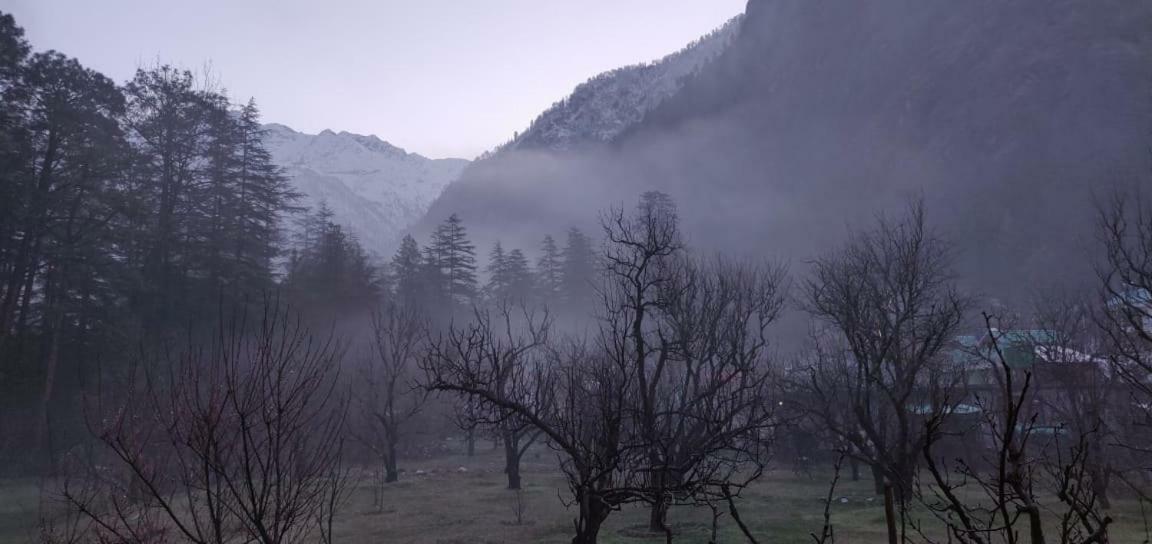 Готель The Royal Orchard Касоль Екстер'єр фото